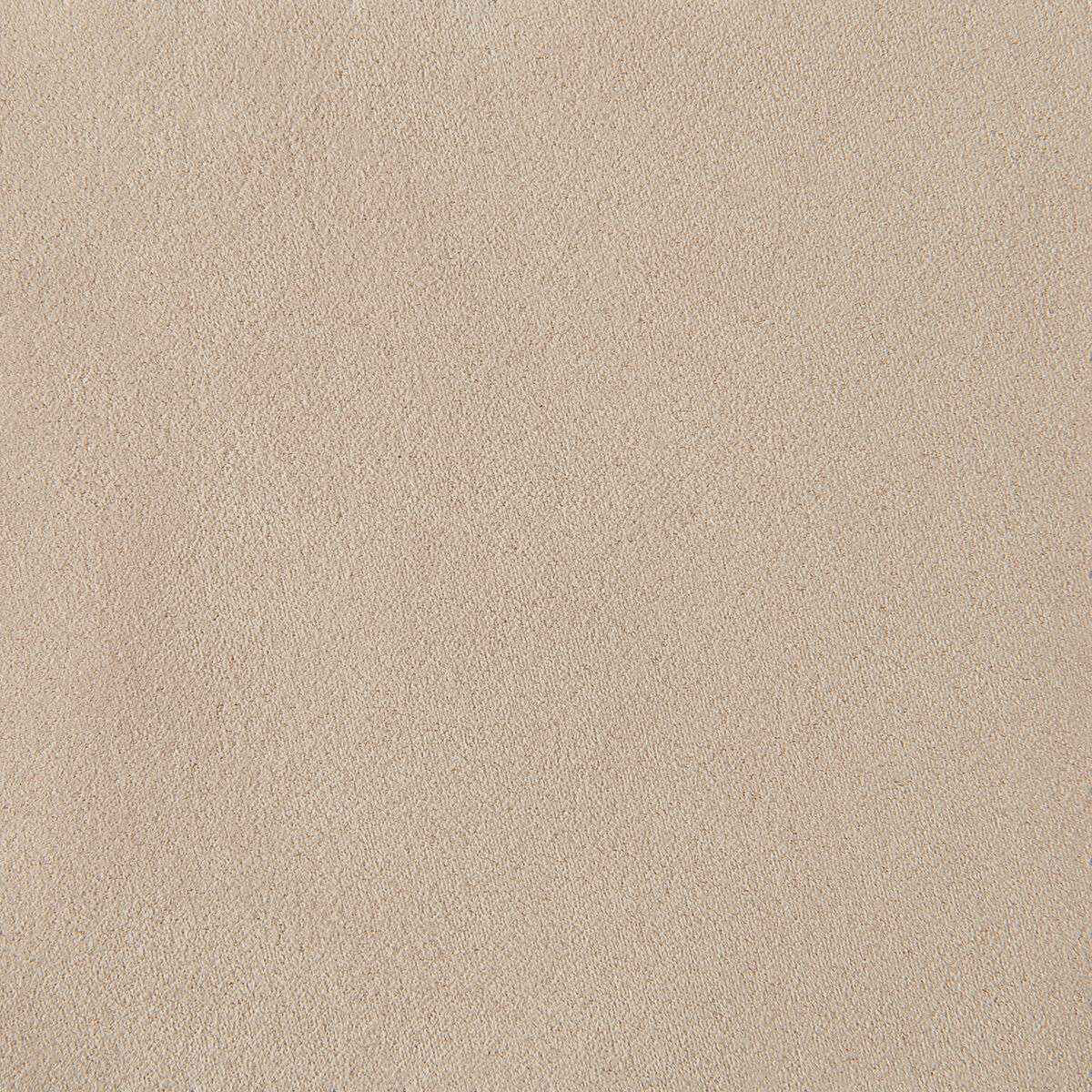 HOMAGE - Image 11