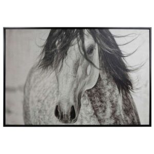 My Beautiful Mane