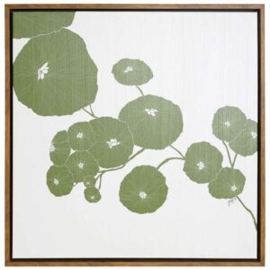 Pilea