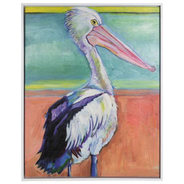 Pelican