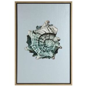 Teal Shell III