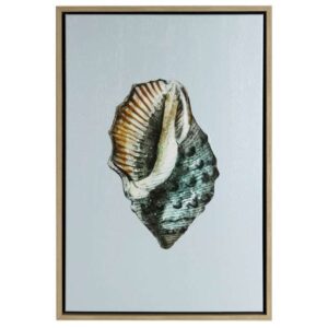 Teal Shell VI