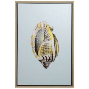 Teal Shell IV