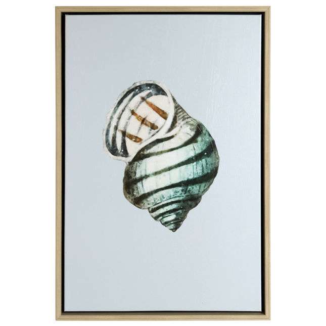 Teal Shell II
