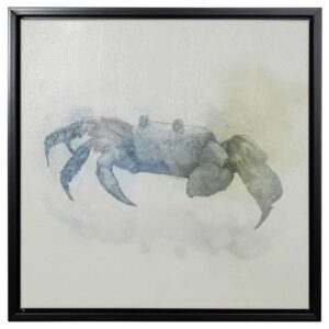 Indigo Crab II