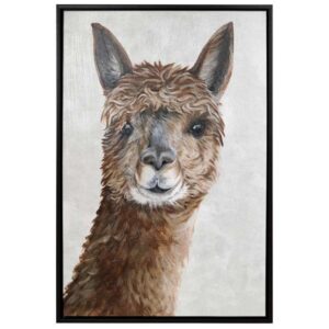 Suri Alpaca II