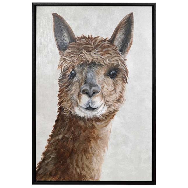 Suri Alpaca II
