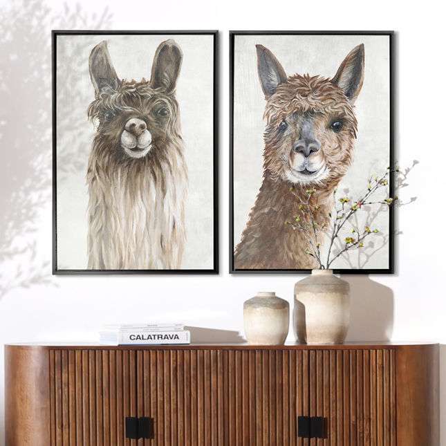 Suri Alpaca I - Image 2