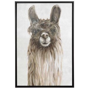 Suri Alpaca I