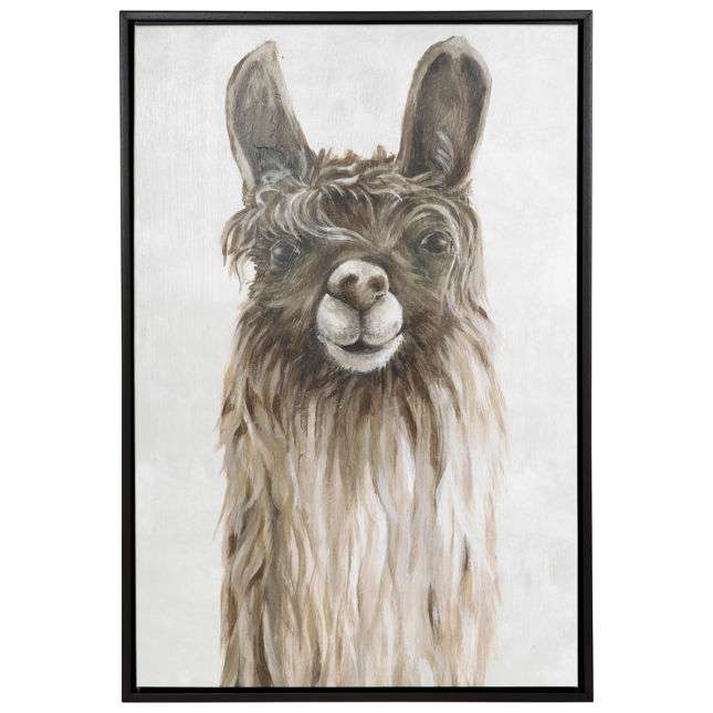 Suri Alpaca I