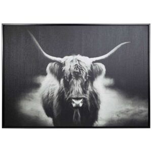 Highland Cattle
