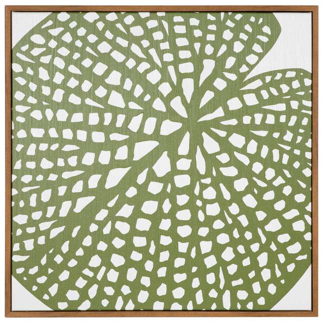 Lily Pad