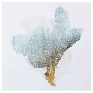 Delicate Coral III