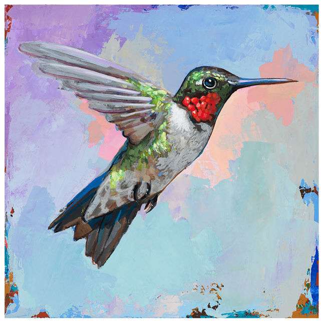 Hummingbird 1