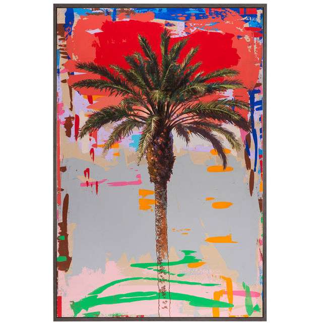 Palm 1