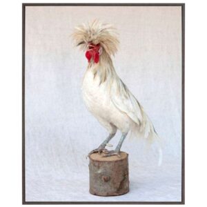 Rod The Rooster V