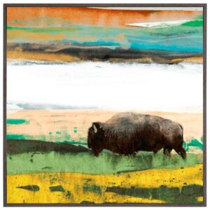 Bison Primary Decision