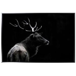 The Deer Soul