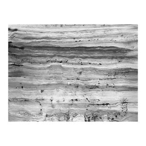 Contemplator 1