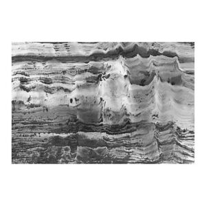 Contemplator 17