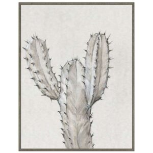 Cactus Study II