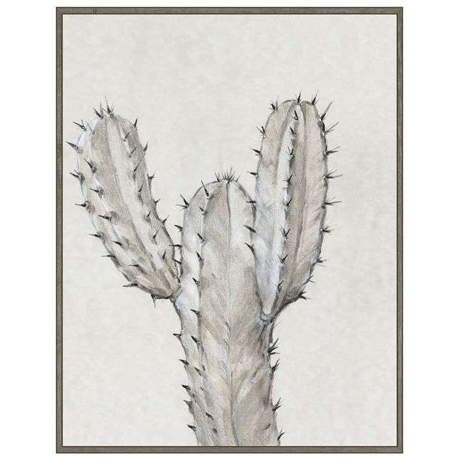 Cactus Study II