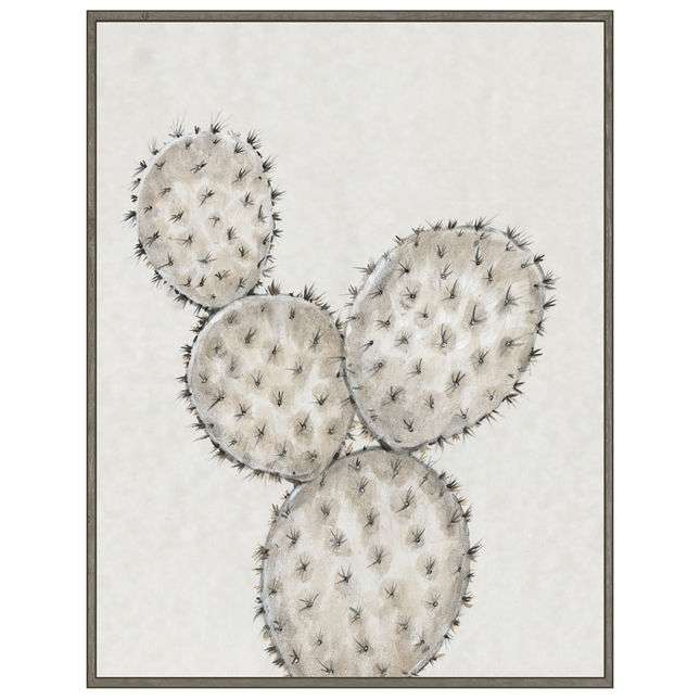 Cactus Study IV