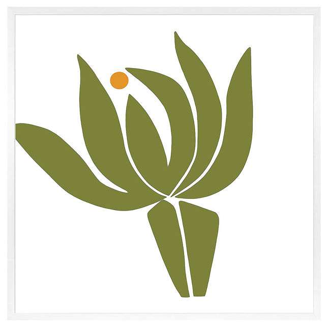 Protea