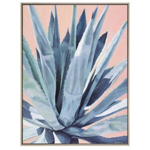 Agave With Coral