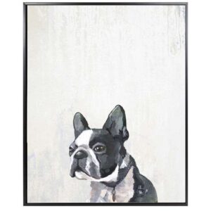Frenchie Puppy