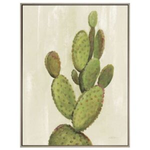 Front Yard Cactus I