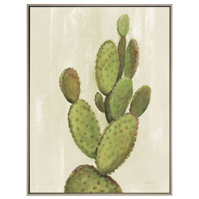 Front Yard Cactus I