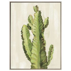 Front Yard Cactus II