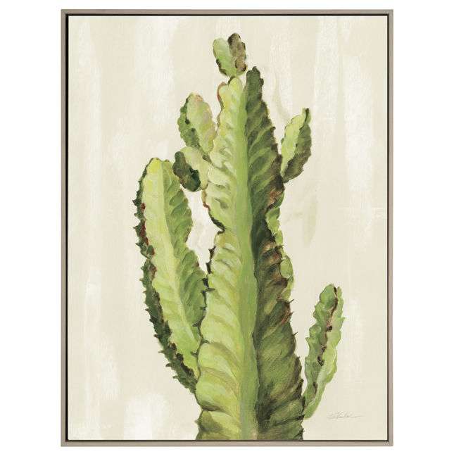 Front Yard Cactus II
