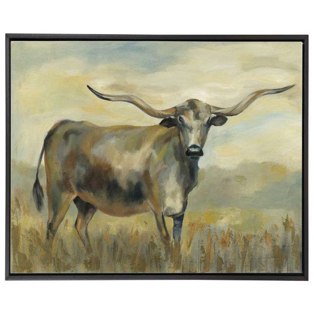 Longhorn Cow