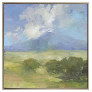 Clouds On The Mountain