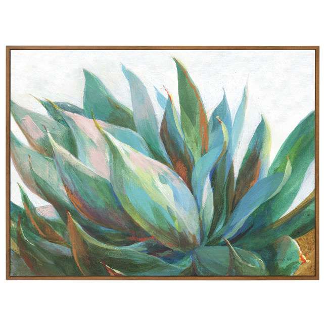 Agave