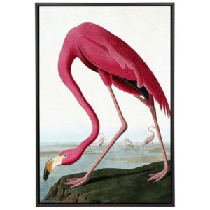 Flamingo II