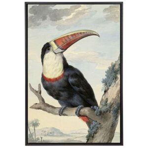 Red-Billed Toucan