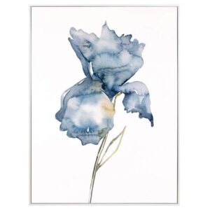 Iris No. 181