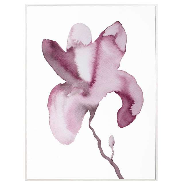 Magnolia No. 62