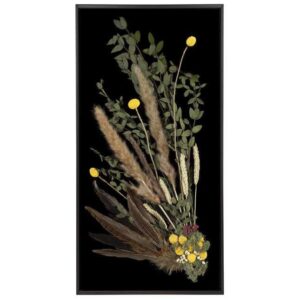 Dried Florals