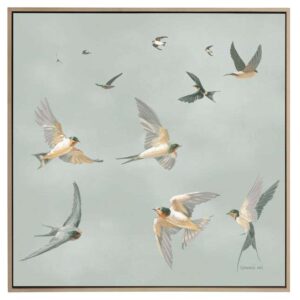 Swifts