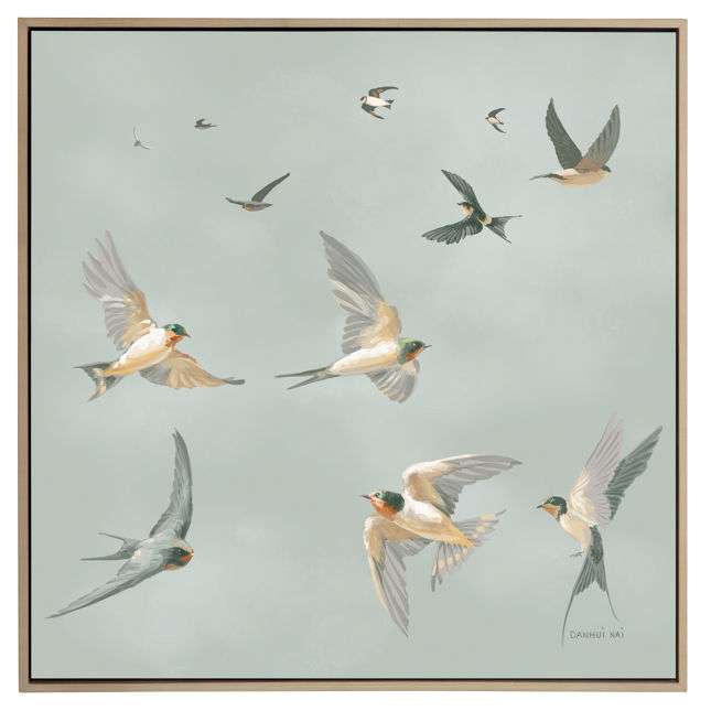 Swifts