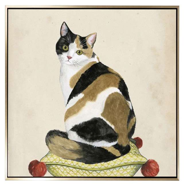 Lady Cat III