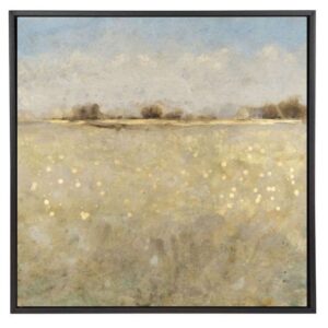 Meadow Plane I