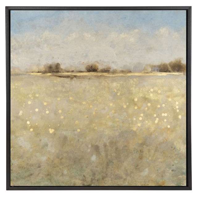 Meadow Plane I