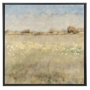 Meadow Plane II