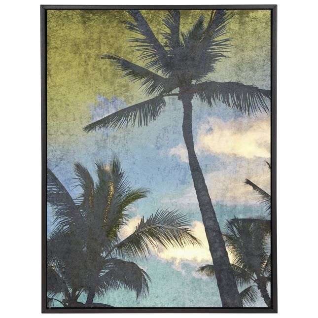 California Palms
