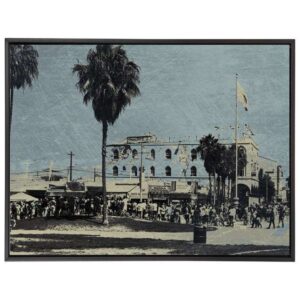 Venice Beach Boardwalk